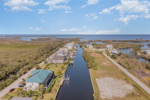 Land in Punta Gorda, Florida № 1399261 - photo 6