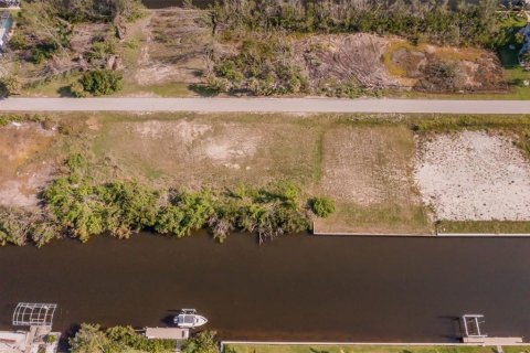 Land in Punta Gorda, Florida № 1399261 - photo 2