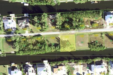 Land in Punta Gorda, Florida № 1399261 - photo 11