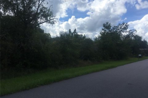 Land in Punta Gorda, Florida № 2163127 - photo 2