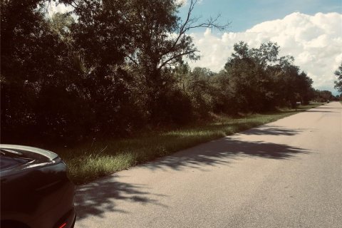 Land in Punta Gorda, Florida № 2163127