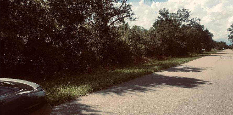 Land in Punta Gorda, Florida № 2163127