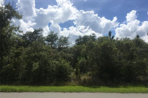 Land in Punta Gorda, Florida № 2163127 - photo 4