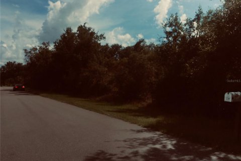 Land in Punta Gorda, Florida № 2163127 - photo 3