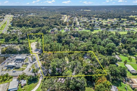 Commercial property in Belleview, Florida 63.73 sq.m. № 2140608 - photo 2