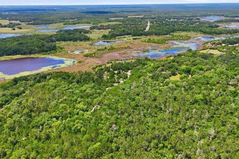 Villa ou maison à vendre à Umatilla, Floride: 2 chambres, 92.9 m2 № 2222507 - photo 8