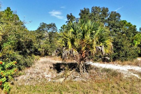 Land in North Port, Florida № 2158992