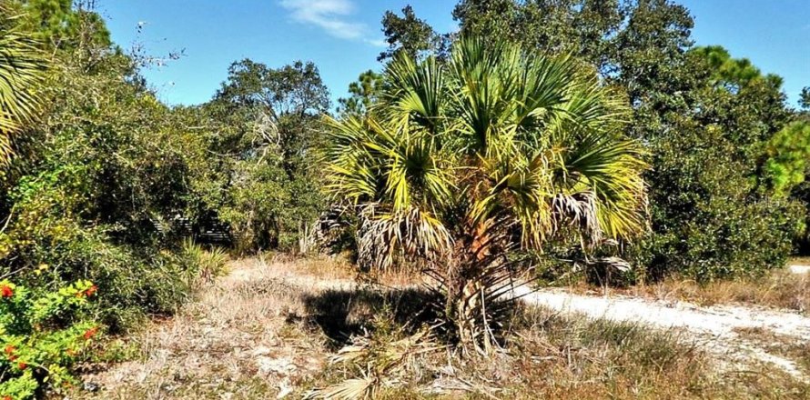 Land in North Port, Florida № 2158992