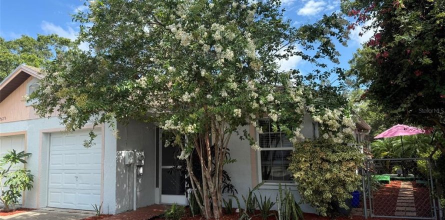 House in Palm Harbor, Florida 1 bedroom, 94.39 sq.m. № 1878214