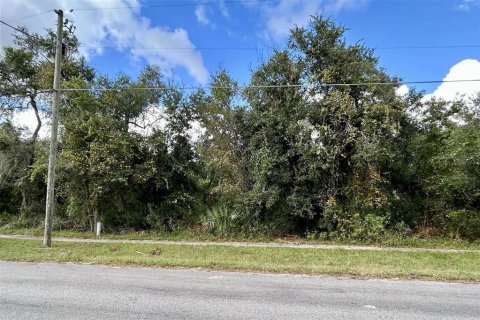 Terreno en venta en Orange City, Florida № 1409871 - foto 1