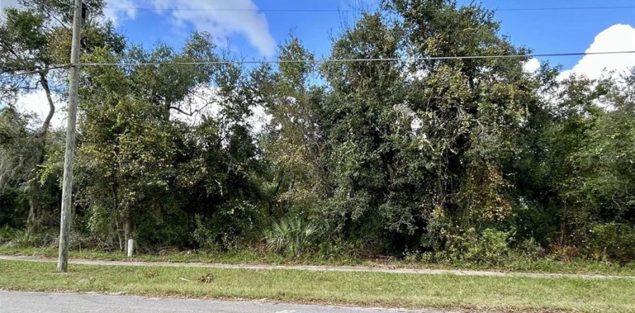 Terreno en Orange City, Florida № 1409871
