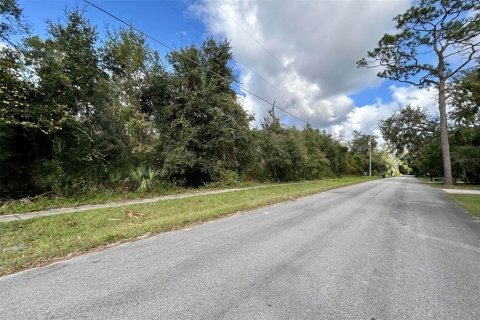 Terreno en venta en Orange City, Florida № 1409871 - foto 2