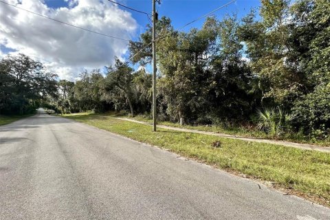 Terreno en venta en Orange City, Florida № 1409871 - foto 3