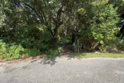 Terreno en venta en Orlando, Florida № 1647676 - foto 1