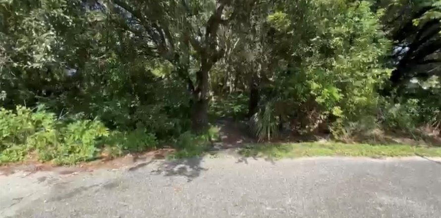 Terreno en Orlando, Florida № 1647676