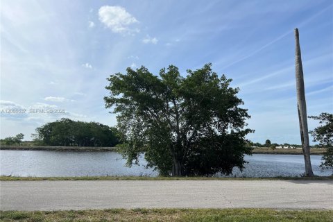 Propiedad comercial en Moore Haven, Florida № 2071133