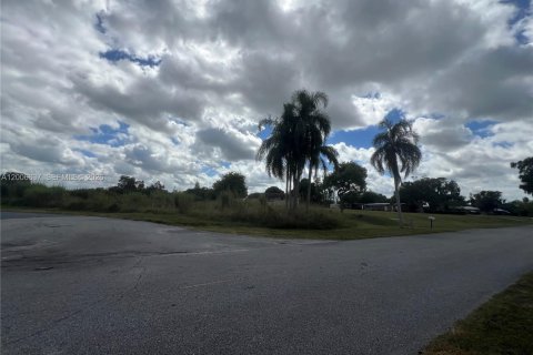 Propiedad comercial en venta en Moore Haven, Florida № 2071133 - foto 6