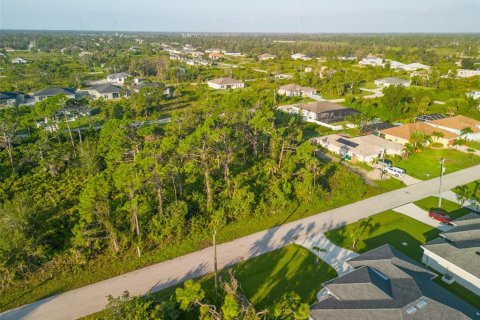 Land in Port Charlotte, Florida № 2218301 - photo 4