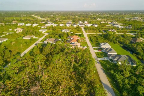 Land in Port Charlotte, Florida № 2218301 - photo 5
