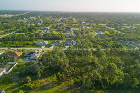 Land in Port Charlotte, Florida № 2218301 - photo 7