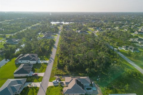 Land in Port Charlotte, Florida № 2218301 - photo 8