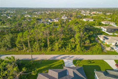 Land in Port Charlotte, Florida № 2218301 - photo 2
