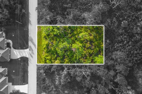 Land in Port Charlotte, Florida № 2218301 - photo 9