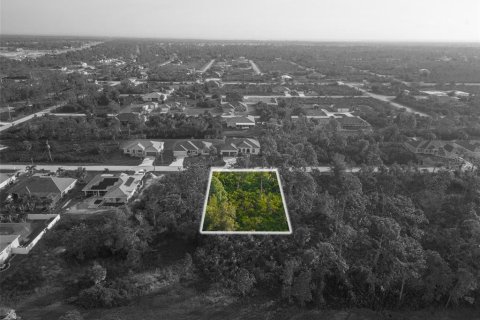 Land in Port Charlotte, Florida № 2218301 - photo 6