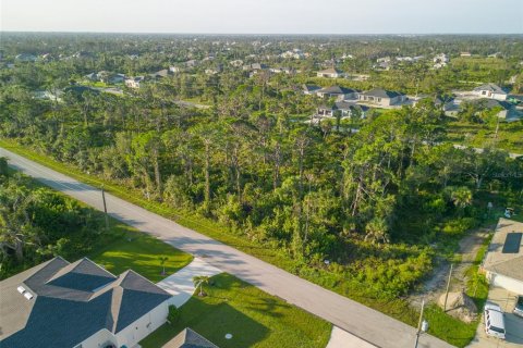 Land in Port Charlotte, Florida № 2218301 - photo 3