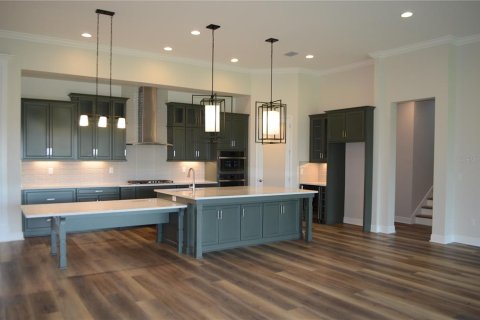 Villa ou maison à louer à Zephyrhills, Floride: 6 chambres, 421.68 m2 № 1791310 - photo 12