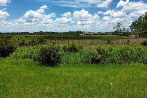 Villa ou maison à louer à Zephyrhills, Floride: 6 chambres, 421.68 m2 № 1791310 - photo 3