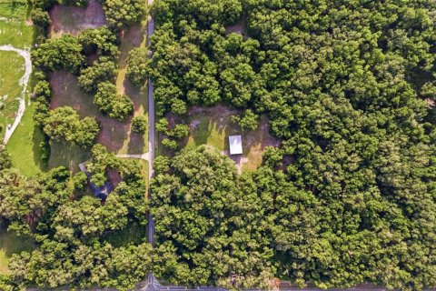Купить коммерческую недвижимость в Уайлдвуд, Флорида 222.97м2, № 2202383 - фото 10