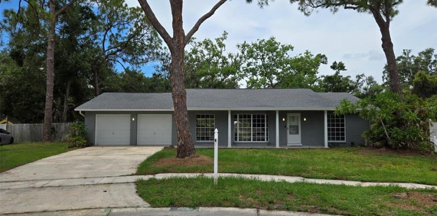 House in Tampa, Florida 4 bedrooms, 178.84 sq.m. № 1858323