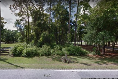 Land in Ocala, Florida № 1532842 - photo 11