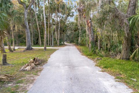 Terreno en venta en Deltona, Florida № 910759 - foto 9