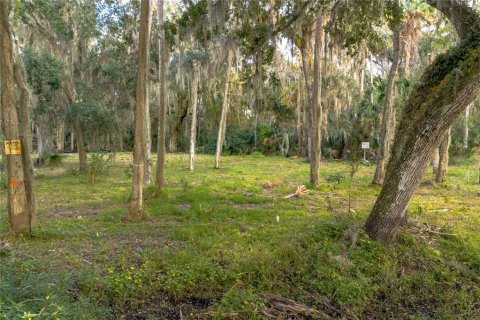 Terreno en venta en Deltona, Florida № 910759 - foto 6