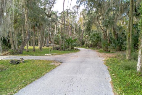 Terreno en venta en Deltona, Florida № 910759 - foto 11
