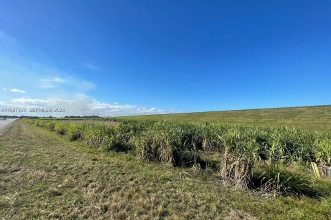 Commercial property in Palm Beach, Florida № 2009206 - photo 2