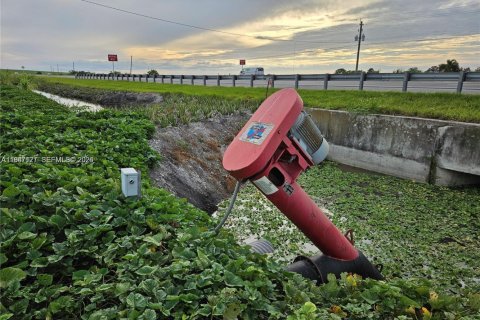 Commercial property in Palm Beach, Florida № 2009206 - photo 4