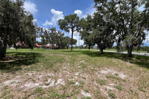 Land in Frostproof, Florida № 1783067 - photo 11