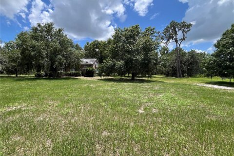 Land in Frostproof, Florida № 1783067 - photo 9