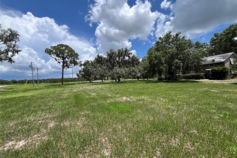 Land in Frostproof, Florida № 1783067 - photo 8