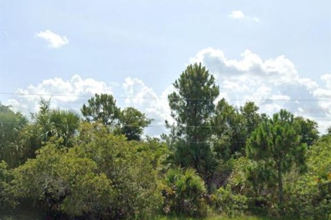 Land in North Port, Florida № 2165977 - photo 2