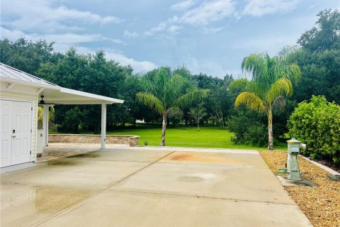 Land in Webster, Florida № 1900509 - photo 6