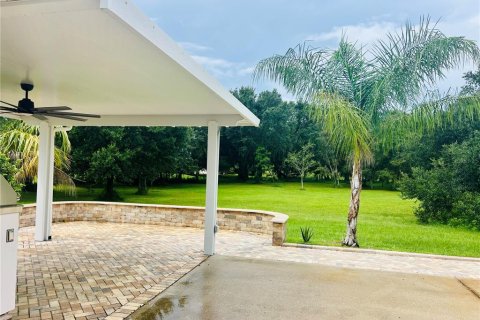 Land in Webster, Florida № 1900509 - photo 9