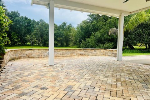 Land in Webster, Florida № 1900509 - photo 12
