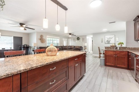 House in Fish Hawk, Florida 4 bedrooms, 206.71 sq.m. № 1883719 - photo 7