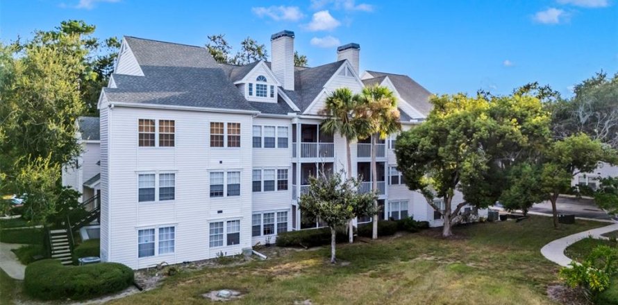 Condo à Palm Harbor, Floride, 3 chambres № 1875872