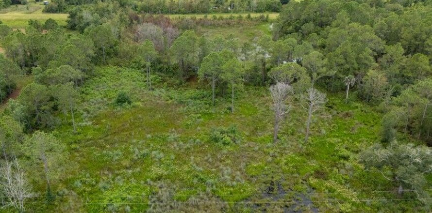 Propiedad comercial en Okeechobee, Florida № 2246154