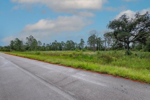 Propiedad comercial en venta en Okeechobee, Florida № 2246154 - foto 3